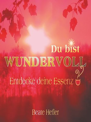cover image of Du bist wundervoll